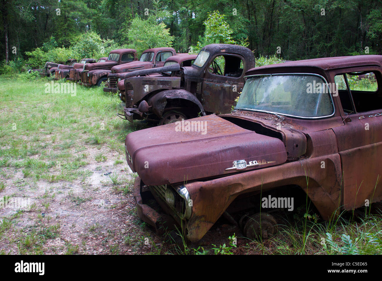 Rusty Ford camion e automobili in una riga, nei pressi di Crawfordville e Medart, Florida Foto Stock