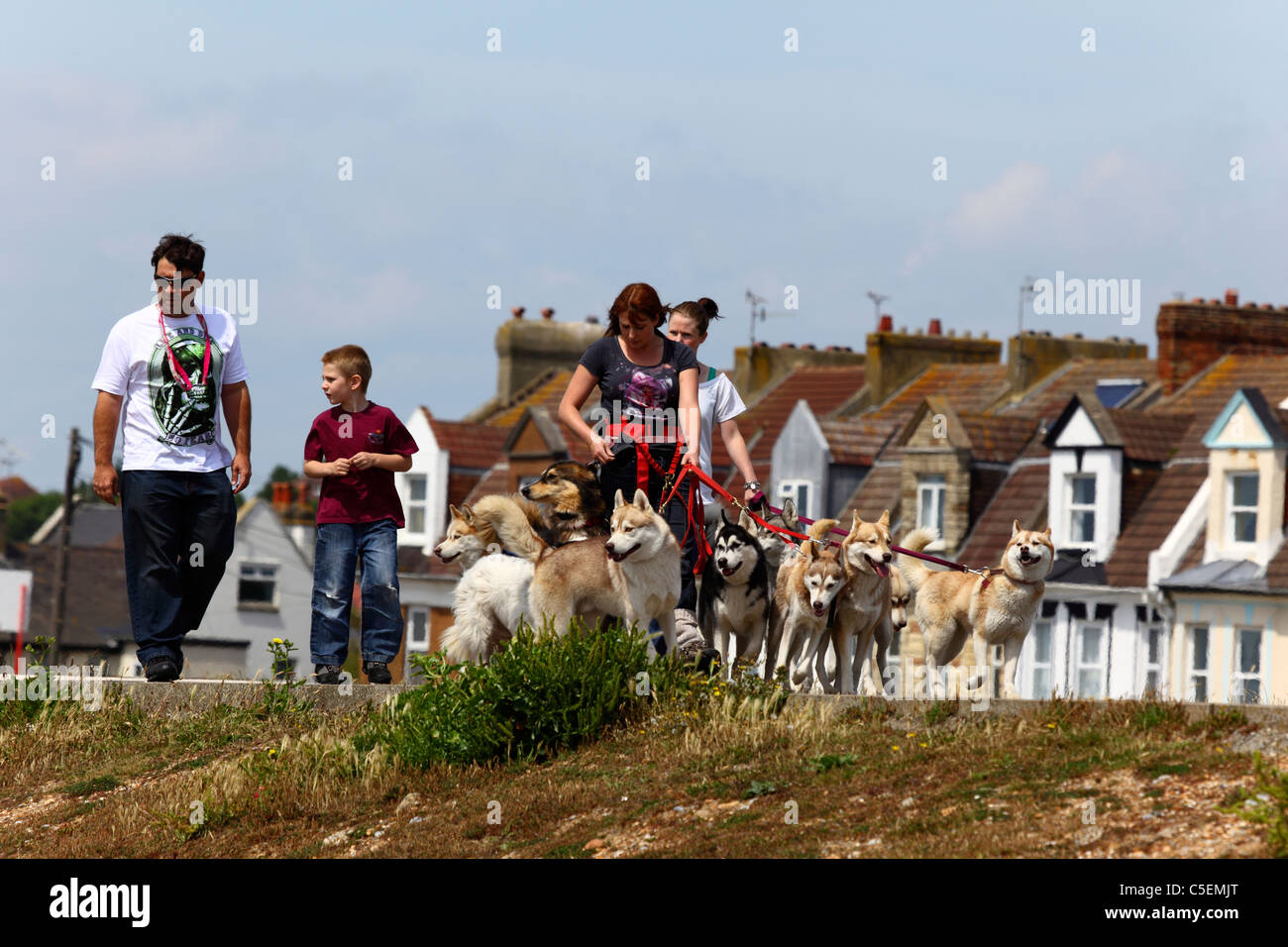 Famiglia cani a piedi lungo la strada nel complesso residenziale, St Leonards on Sea, East Sussex, Inghilterra Foto Stock