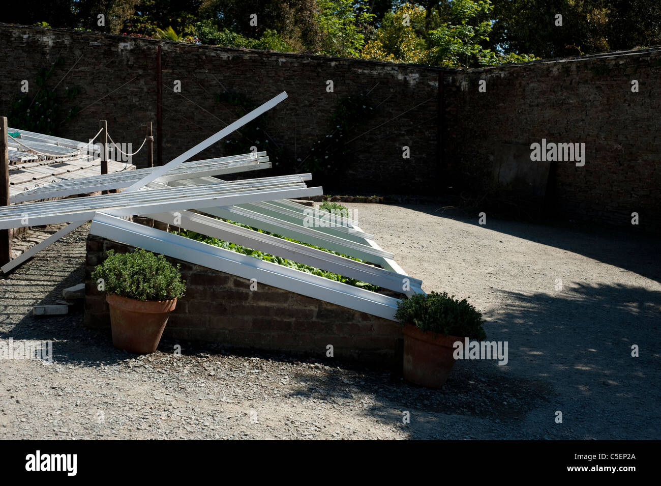 L'ananas Pit nel cantiere di melone al Lost Gardens of Heligan, Cornwall, England, Regno Unito Foto Stock