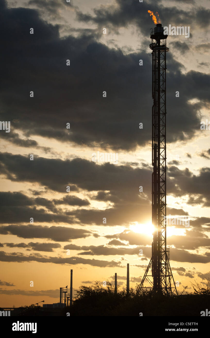 Silhouette di raffineria di petrolio torre al tramonto Foto Stock