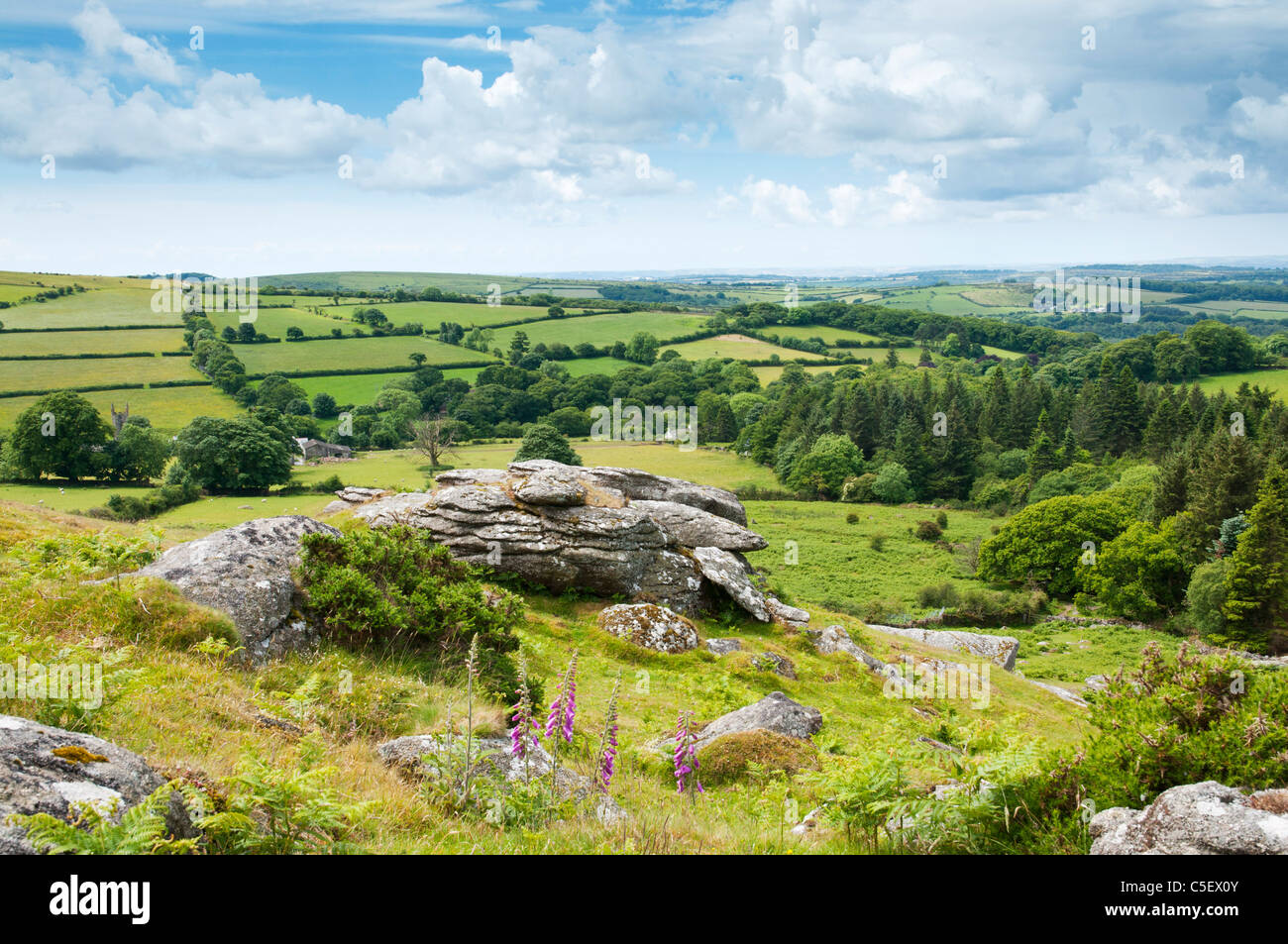 Vista da Sheepstor su Dartmoor in alta stagione estiva, Devon, Regno Unito Foto Stock