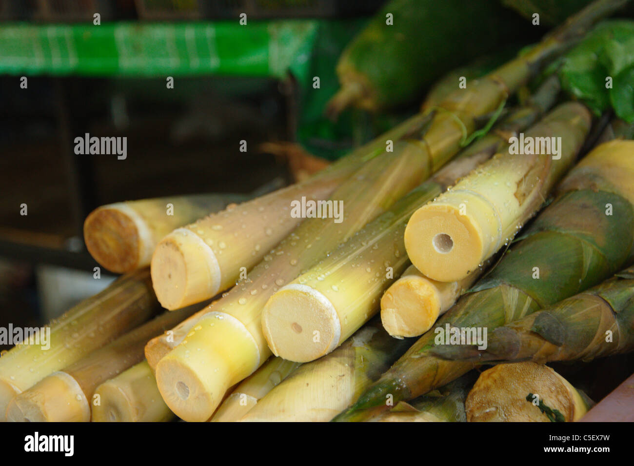 Germogli di bambù al mercato Laemdin, Chaweng, Koh Samui, Thailandia Foto Stock