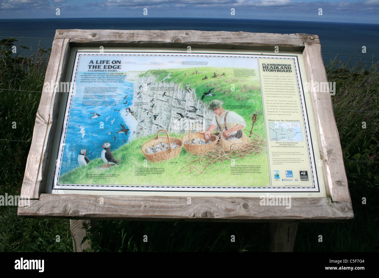 Scheda di informazioni che mostra un Climmer raccogliere uova di uccello da Bempton Cliffs, REGNO UNITO Foto Stock