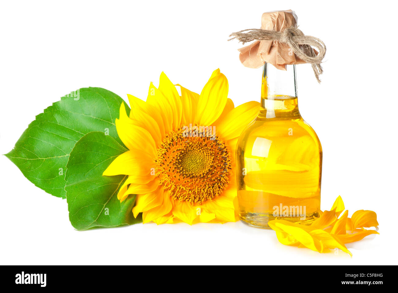 Bottiglia di olio di girasole e con foglie su sfondo bianco Foto Stock