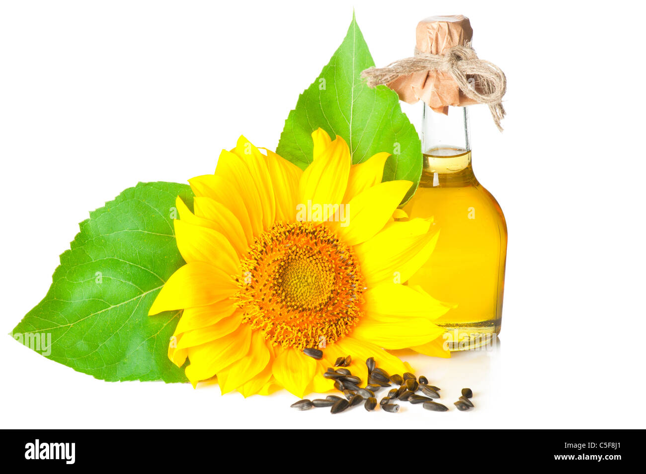 Bottiglia di olio di girasole con foglie e semi su sfondo bianco Foto Stock