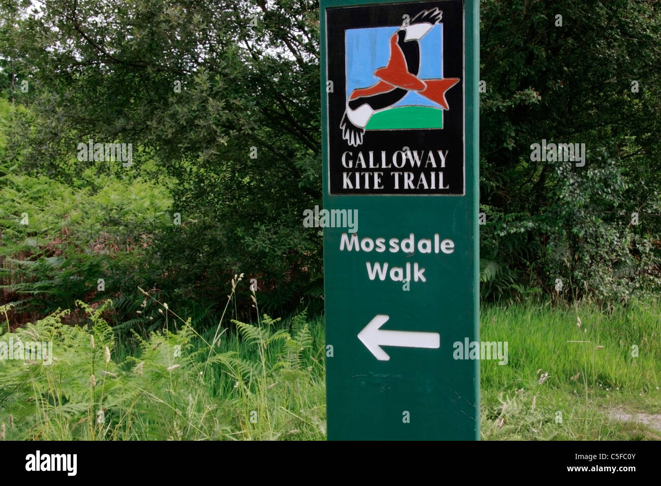 Galloway Kite segnavia a Mossdale in Dumfries and Galloway,'Scotland. Foto Stock