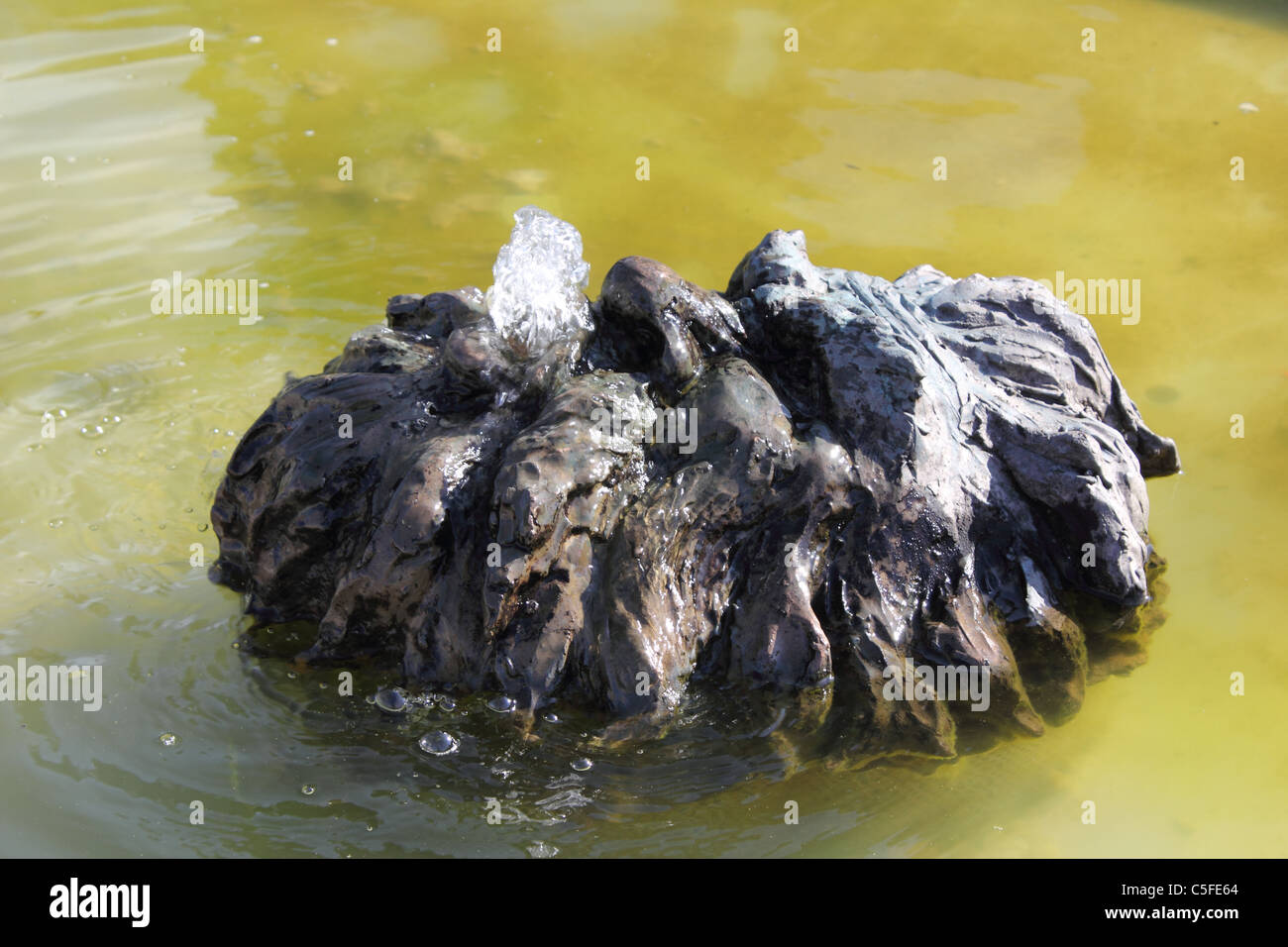 Una fontana con la statua in bronzo del capo di un uomo, Nettuno con acqua proveniente dalla sua bocca. Foto Stock