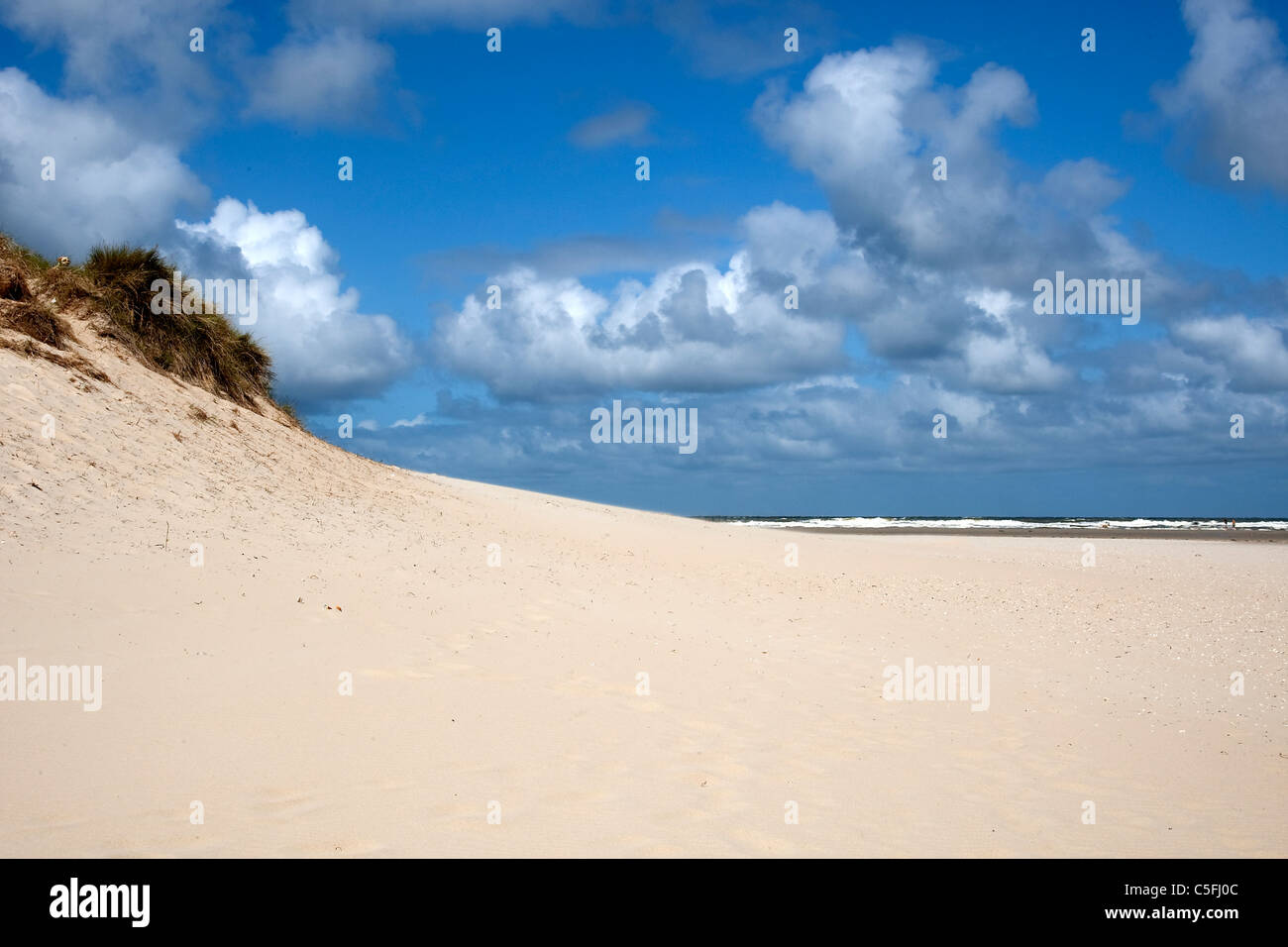 Sulla spiaggia di Texel, Paesi Bassi Foto Stock