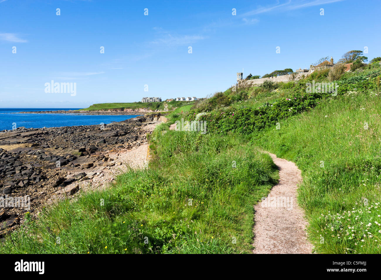 Fife via costiera appena fuori dal villaggio di pescatori di Crail, East Neuk, Fife, Scozia, Regno Unito Foto Stock