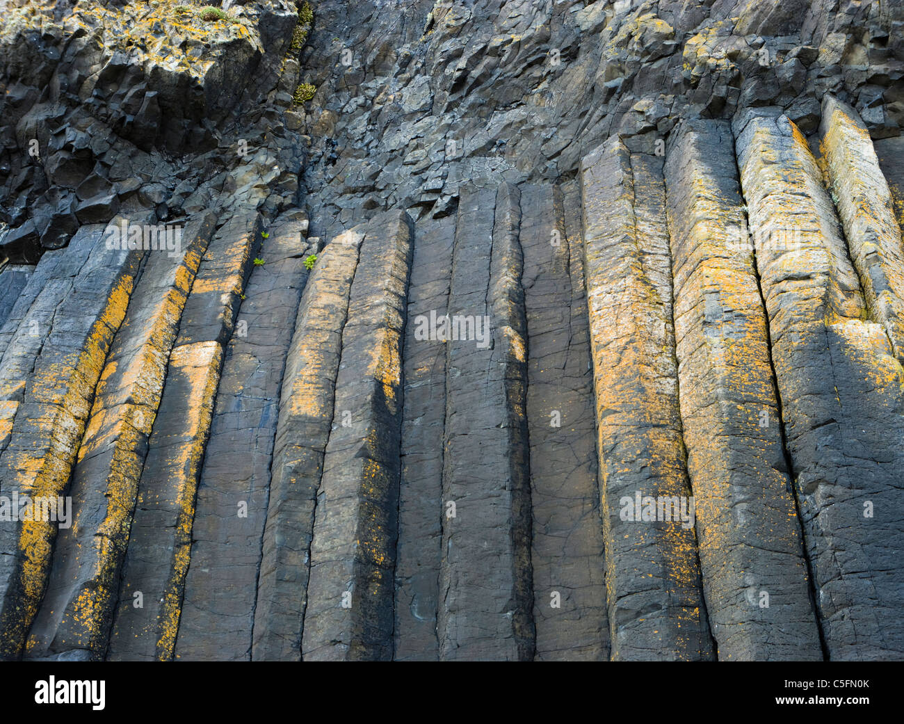 Colonne di basalto sulla staffa, Argyll, Scotland, Regno Unito. Foto Stock