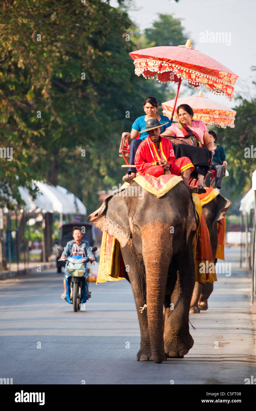 Corsa su elefante in Ayuthaya, Thailandia Foto Stock