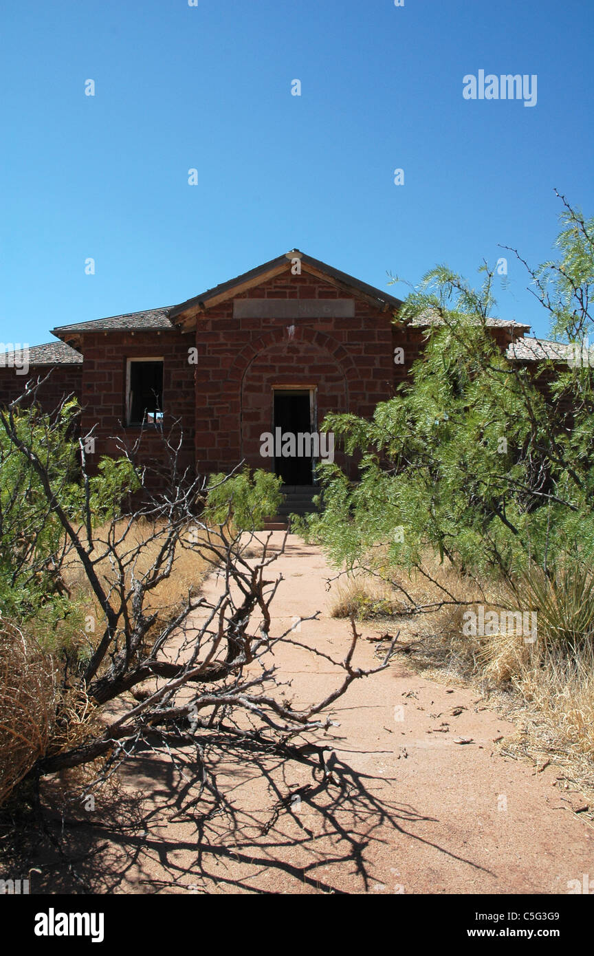 Robinie strozzatura fuori sul marciapiede che conduce a una scuola abbandonata casa in Cuervo New Mexico. Foto Stock