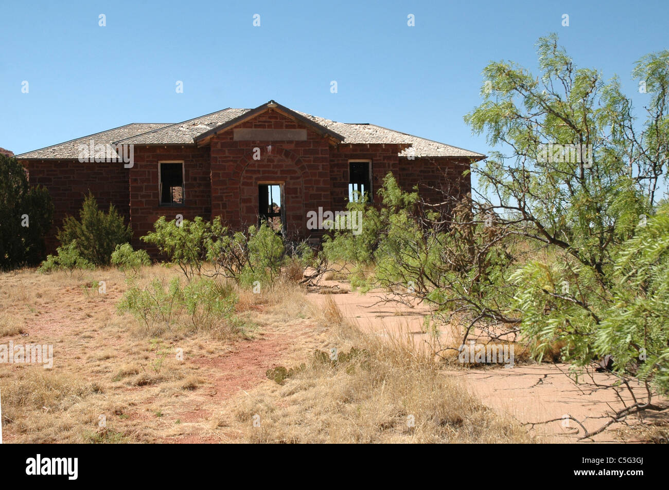 Il miele robinie crescere attraverso il marciapiede che conduce fino a una scuola abbandonata casa in Cuervo New Mexico. Foto Stock