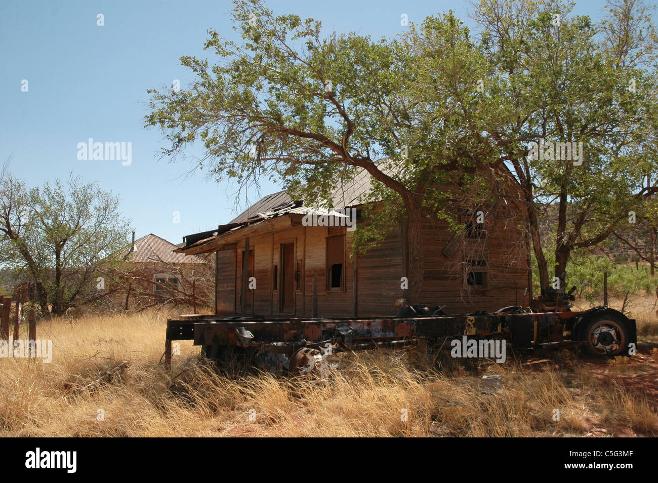Un vecchio albero e il telaio di un carrello di grandi dimensioni sedersi accanto a un edificio abbandonato che può essere servita come un municipio. Foto Stock
