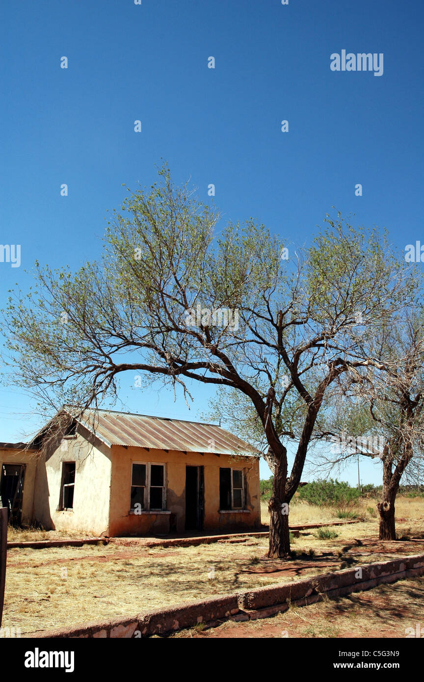 Gli alberi di grandi dimensioni frame abbandonati di bellezza in Cuervo, Nuovo Messico. Foto Stock