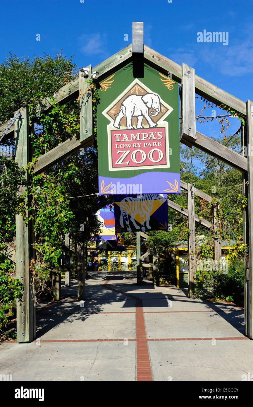 Il Lowry Park Zoo St Petersburg Florida downtown Foto Stock