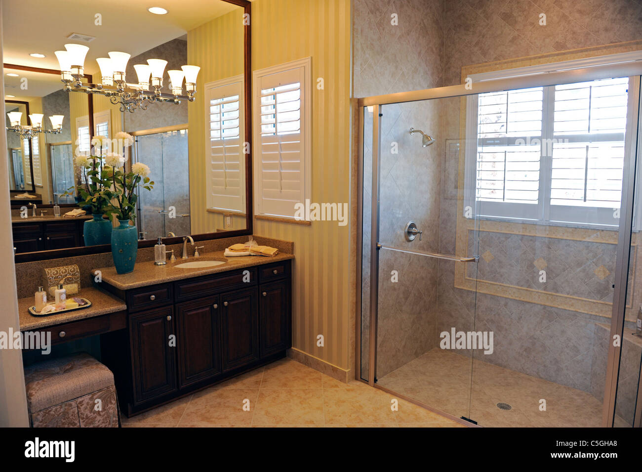 Interno spazioso bagno moderno bagno di un elegante casa nuova costruzione Tampa Florida Foto Stock