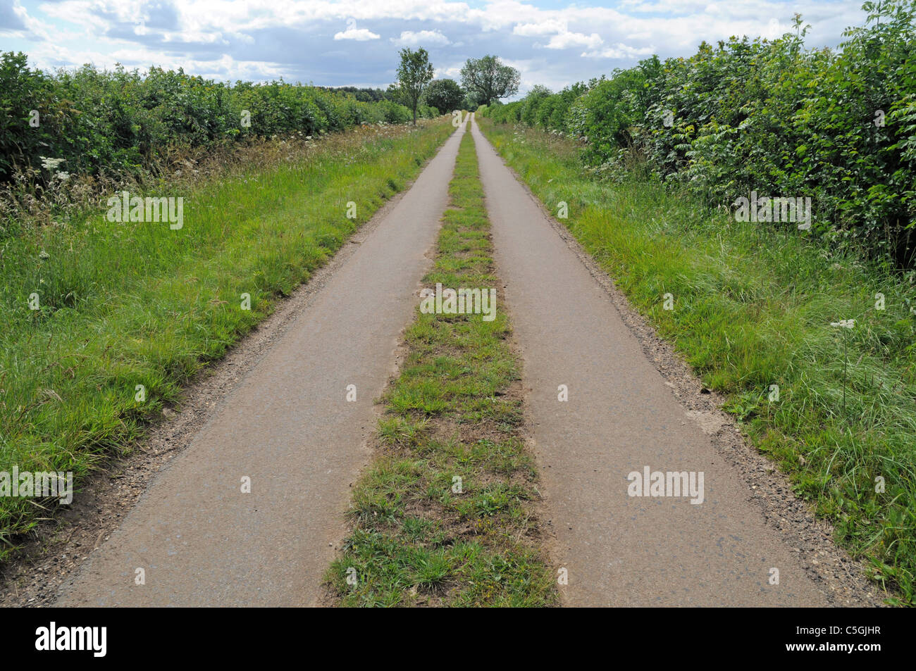 Retta Vicolo del paese con l'erba che cresce in mezzo alla strada Foto Stock