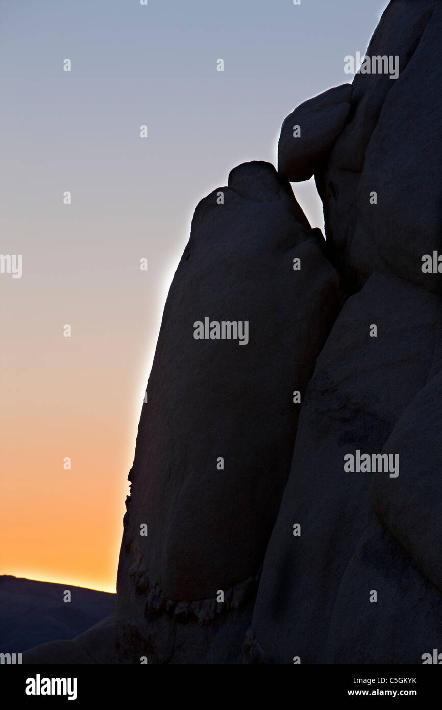 Joshua Tree, Joshua Tree National Park, Deserto Mojave, CALIFORNIA, STATI UNITI D'AMERICA Foto Stock