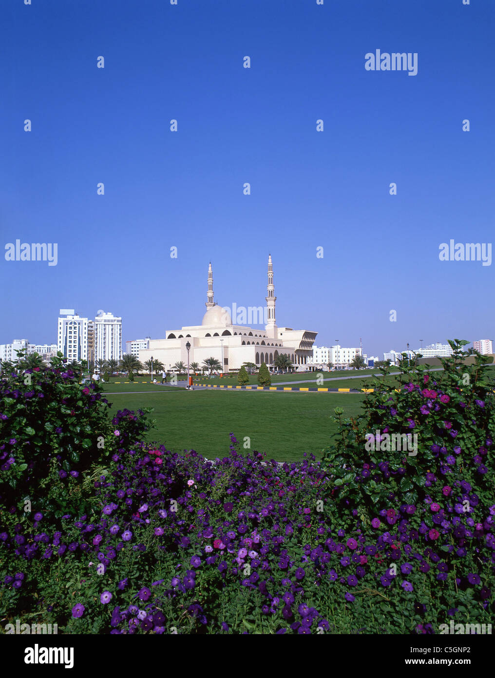 King Faisal Moschea, Al Rolla Square, Sharjah Emirati Arabi Uniti Foto Stock