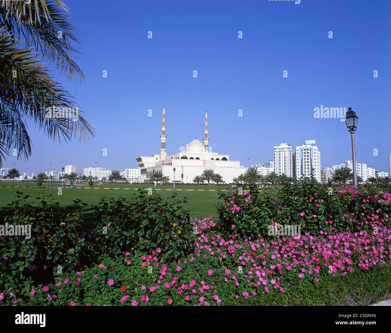 King Faisal Moschea, Al Rolla Square, Sharjah Emirati Arabi Uniti Foto Stock