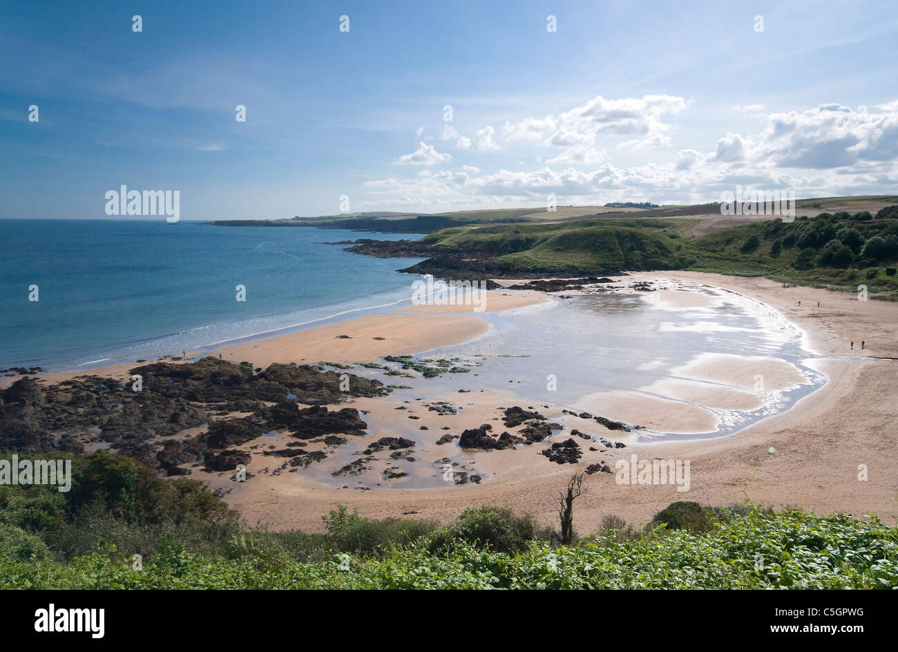 Coldingham Bay Scottish Borders Coast Foto Stock