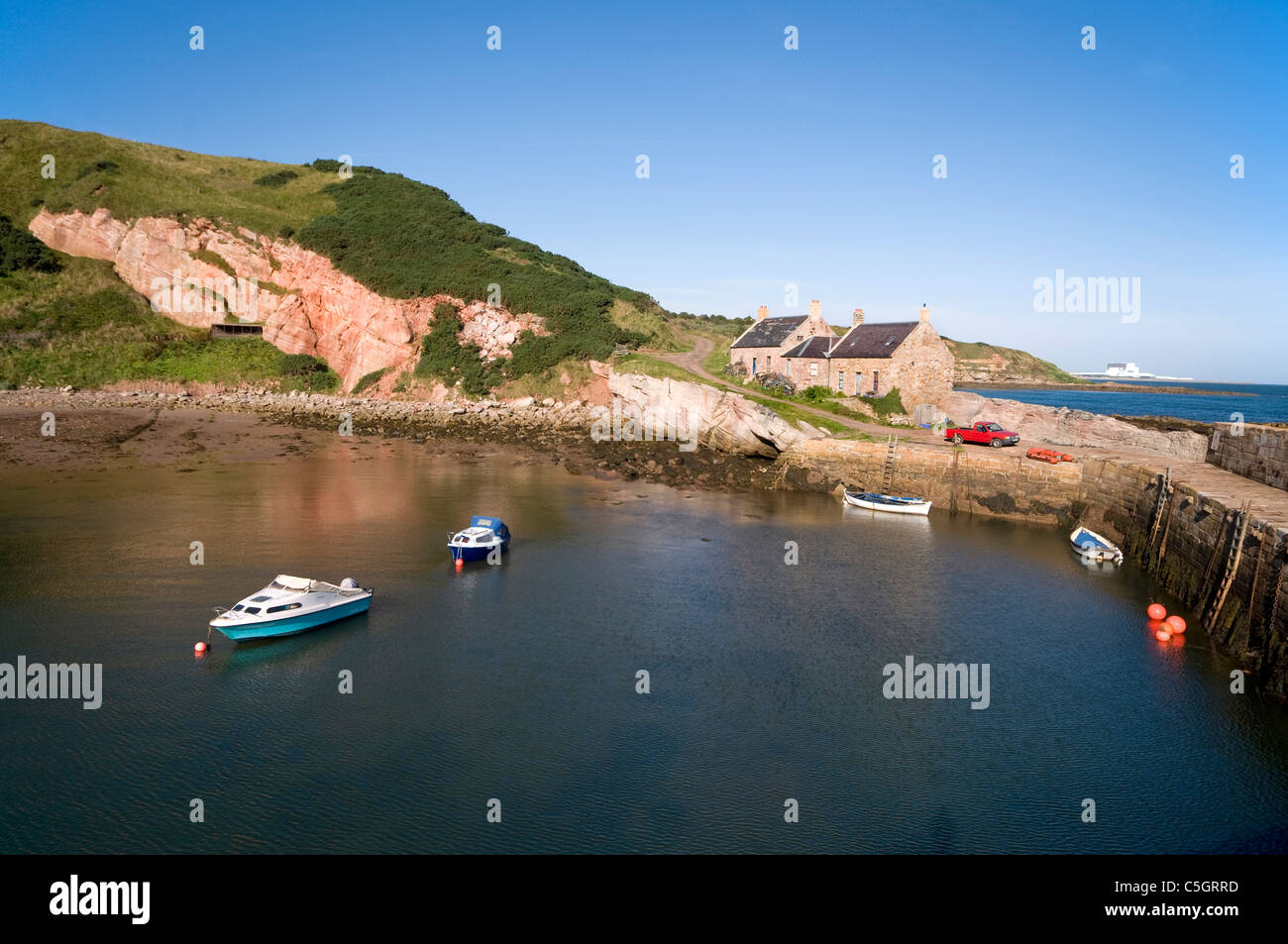 Cove Harbour nr St Abbs Foto Stock