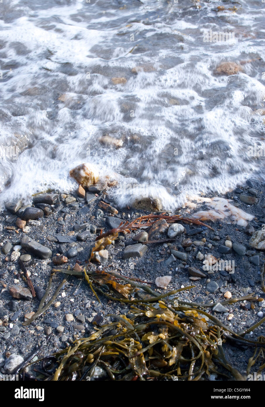 Marea su una spiaggia rocciosa nel Maine. Foto Stock