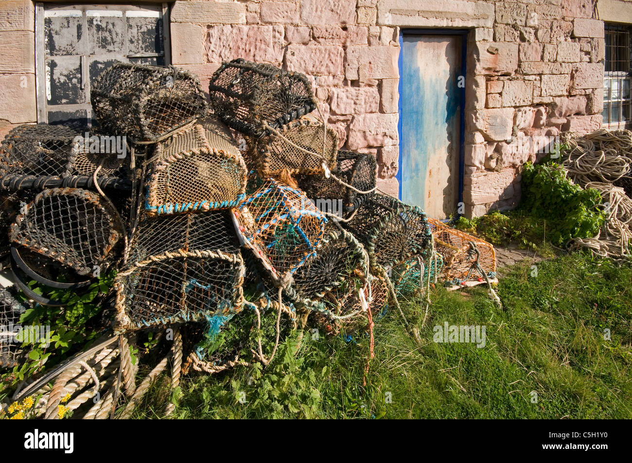 Lobster cantre o pentole e cottage weatherred facciata a Cove Foto Stock