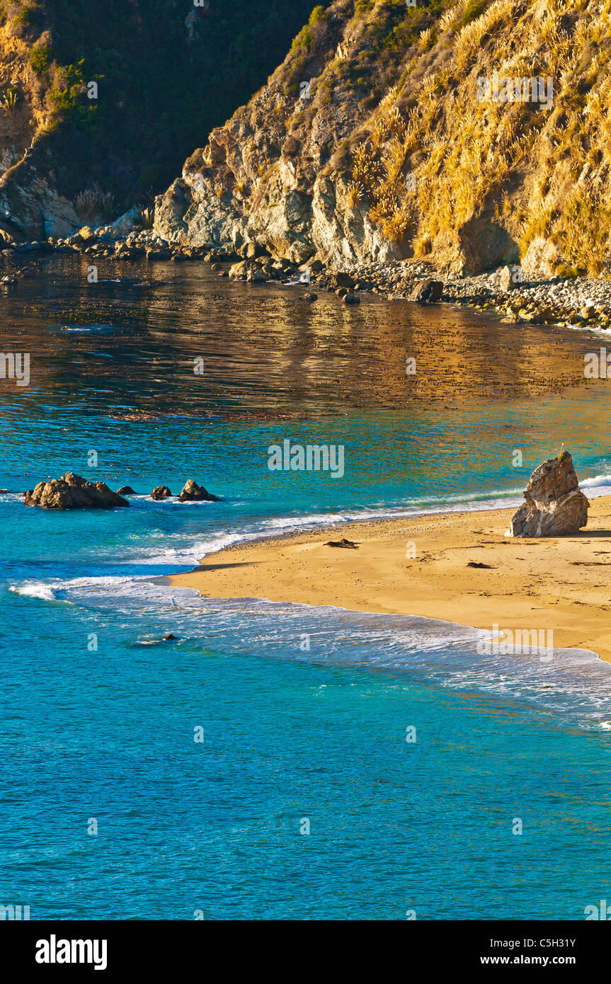 Rocce e spiaggia, Julia Pfeiffer Burns State Park, Big Sur, California Foto Stock