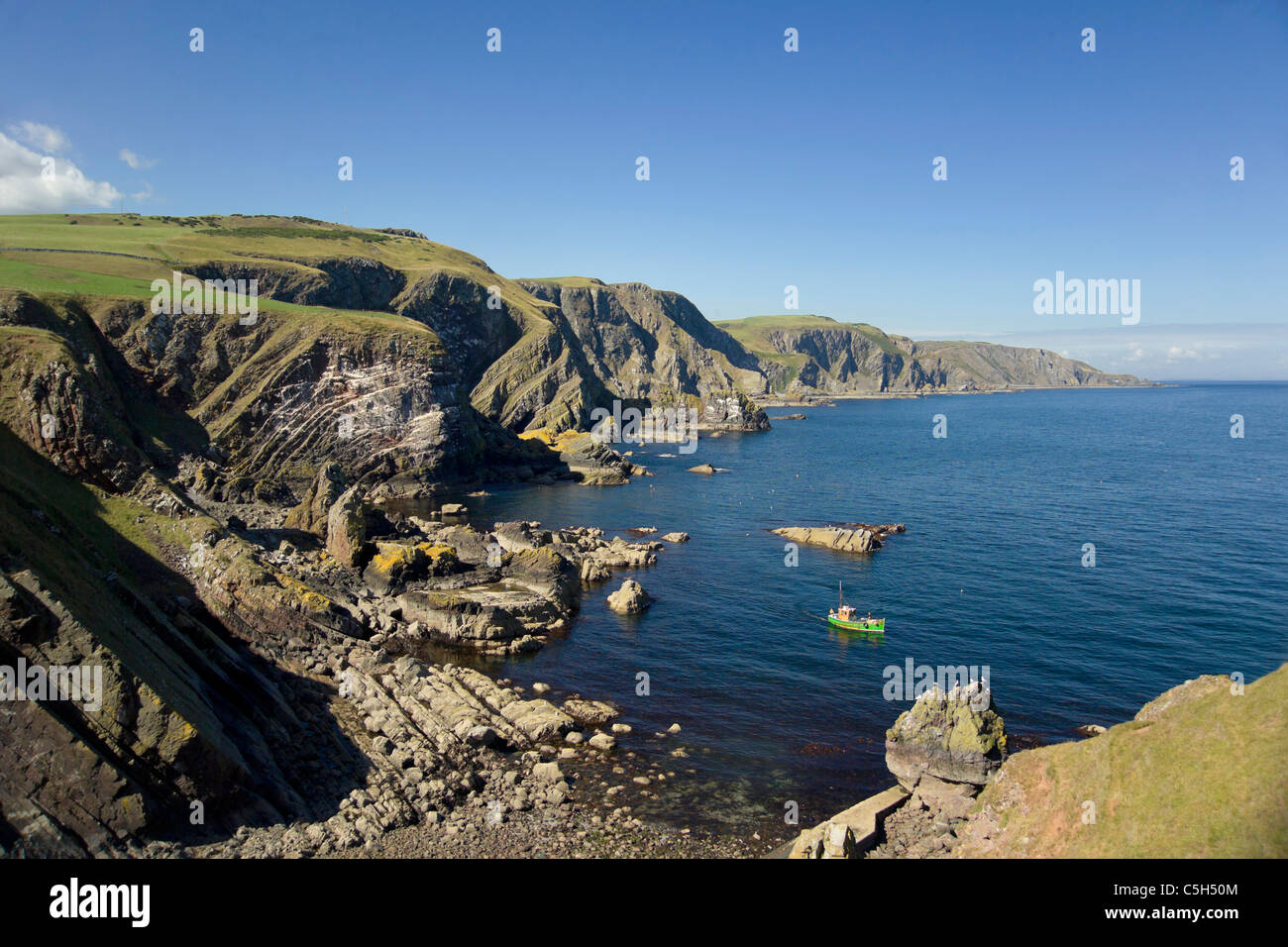 St Abbs Head riserva naturale e la pesca in barca Foto Stock