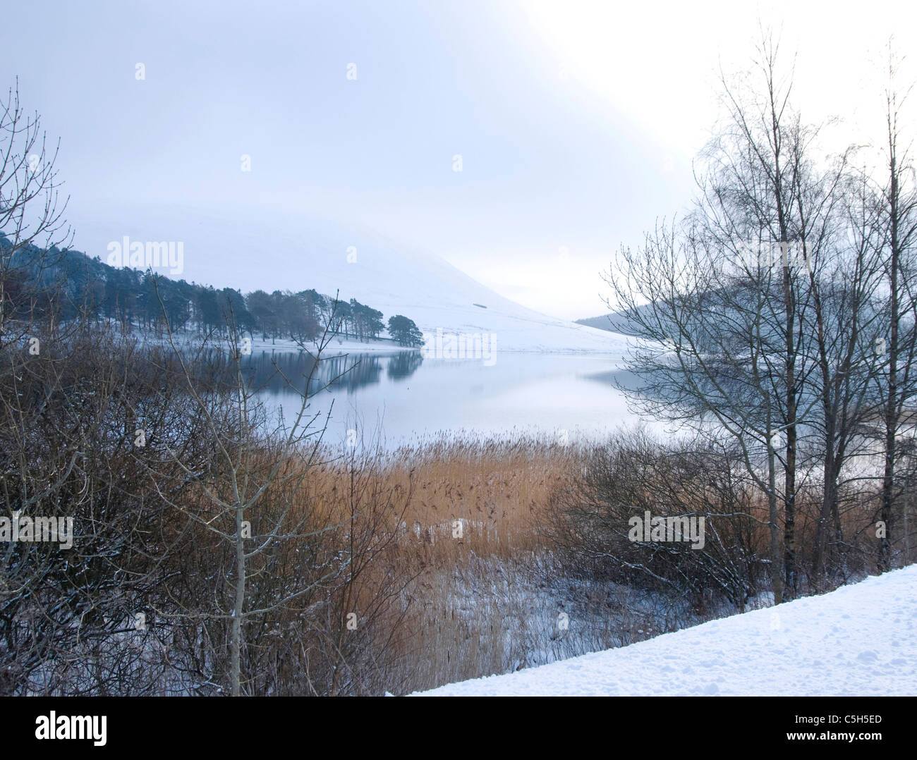 St Mary's Loch in inverno Foto Stock