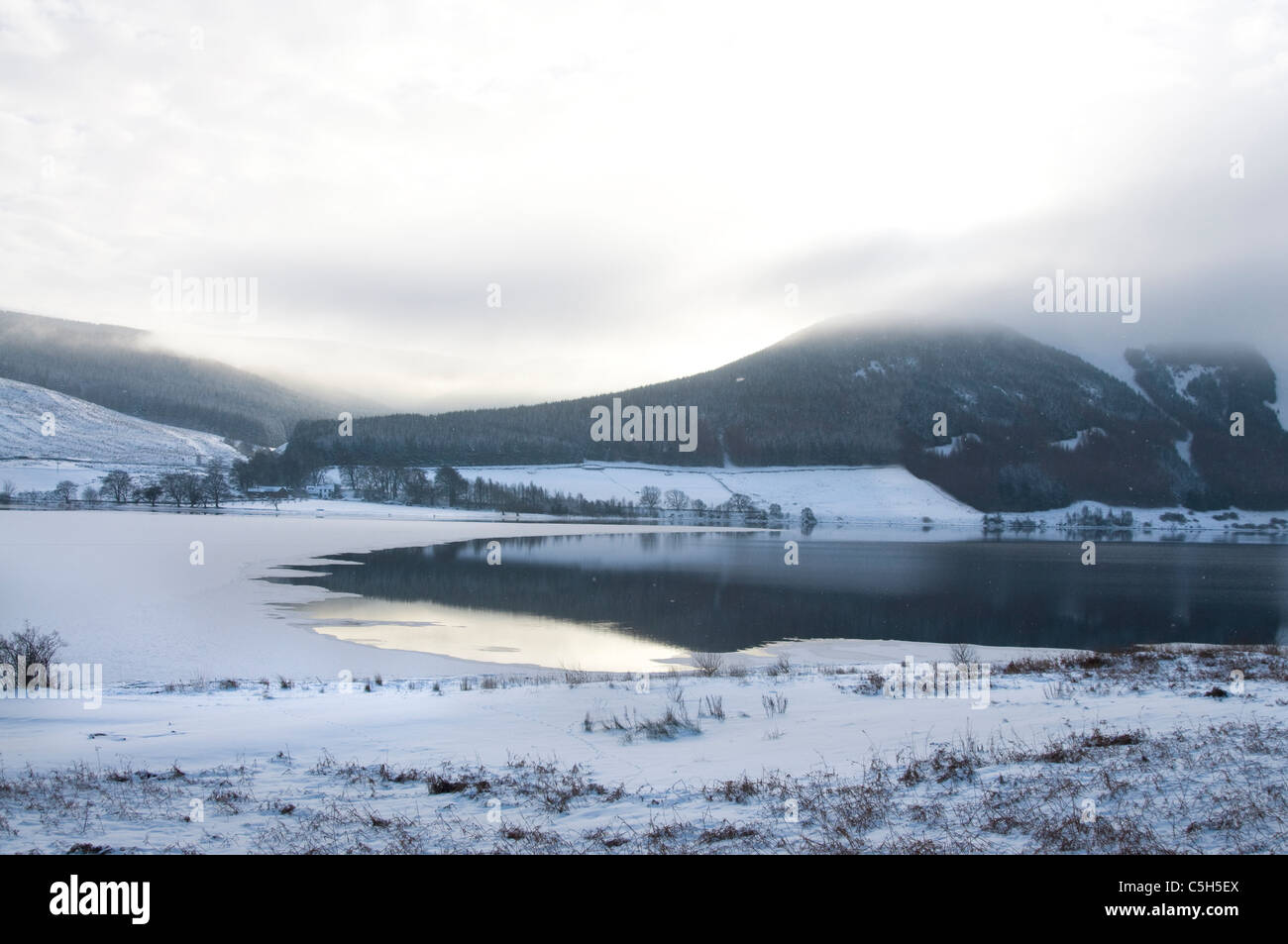 St Mary's Loch in inverno Foto Stock