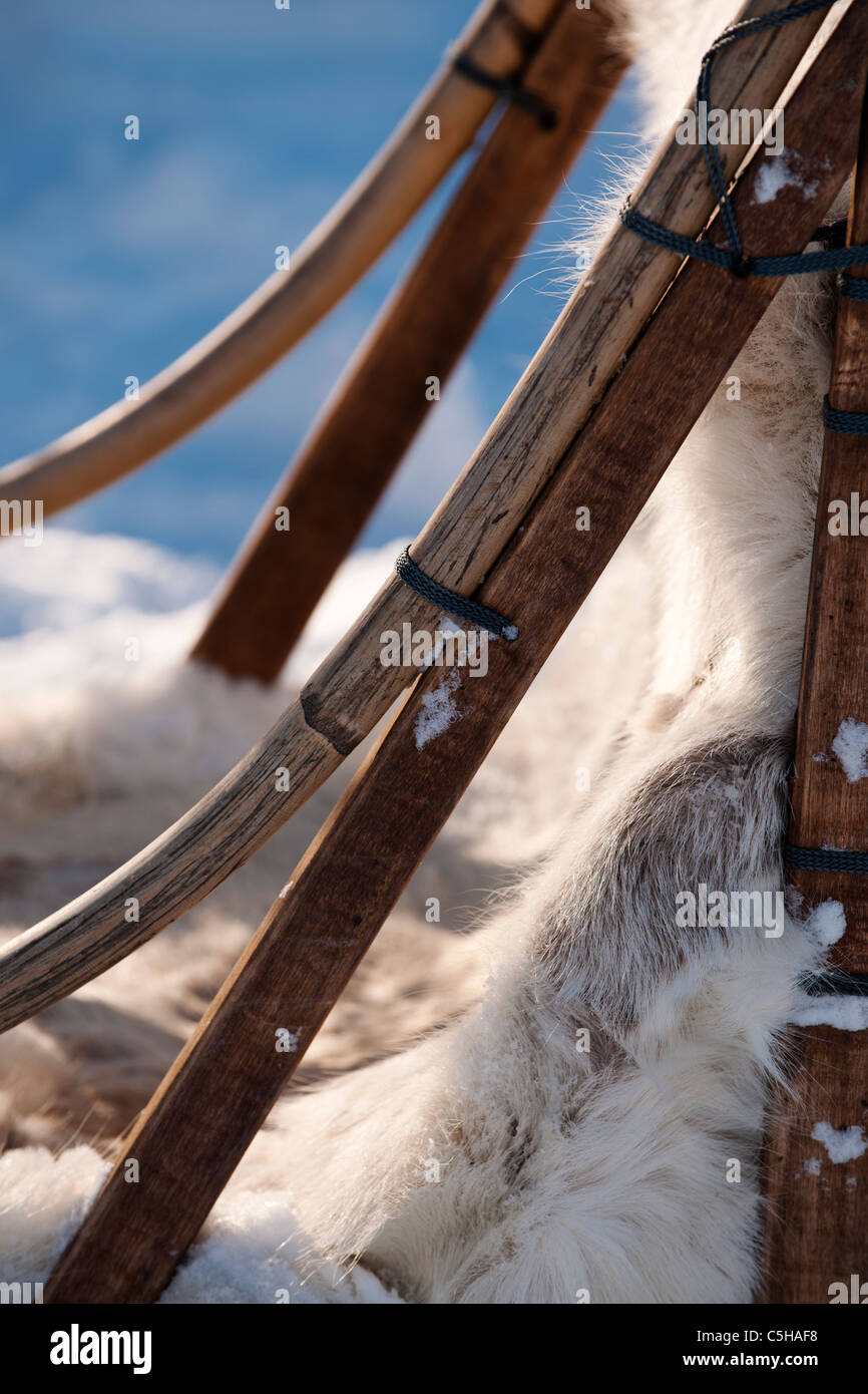 Sami tradizionali sled, Lapponia, Finlandia Foto Stock
