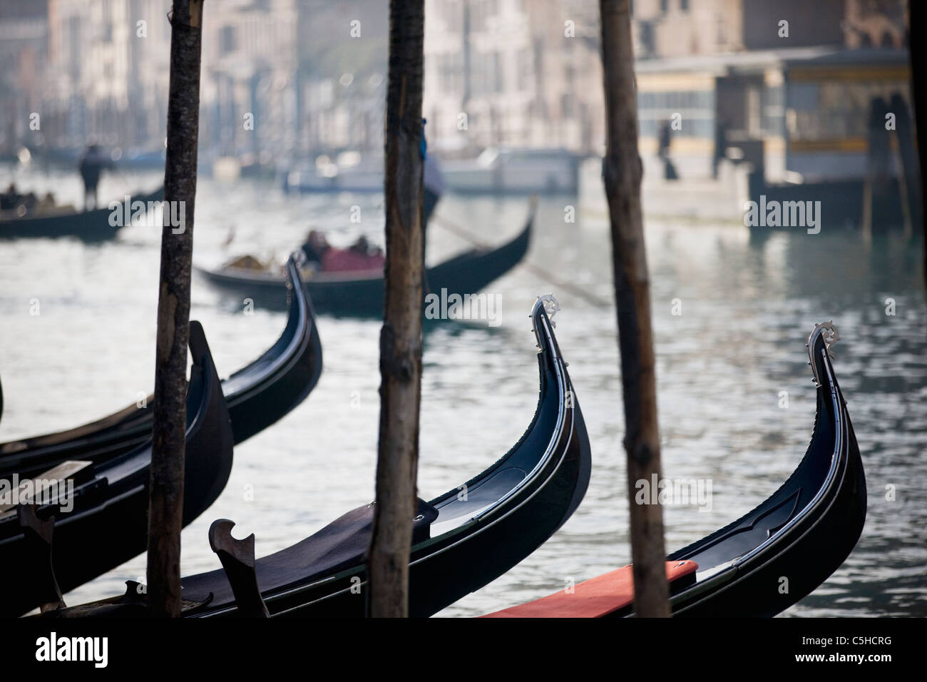 Le gondole del Canal Grande di Venezia, Italia Foto Stock