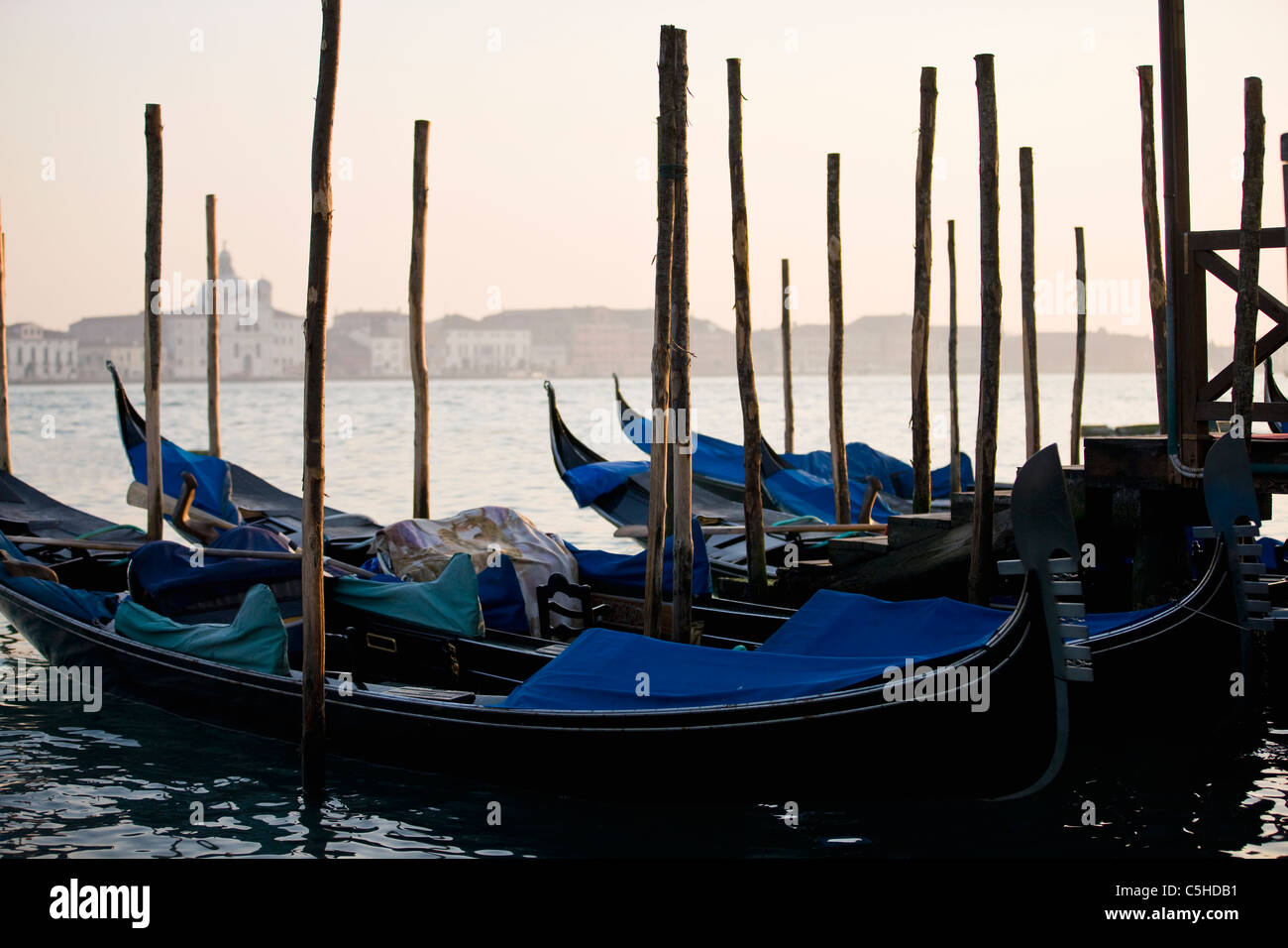 Fila di gondole ormeggiata presso il Grand Canal, Venezia, Italia Foto Stock