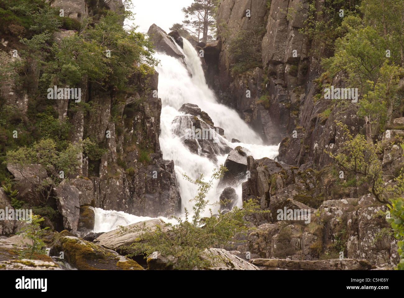 Rhaeadr Ogwen cascata, Nant Ffrancon, Parco Nazionale di Snowdonia, Wales, Regno Unito Foto Stock