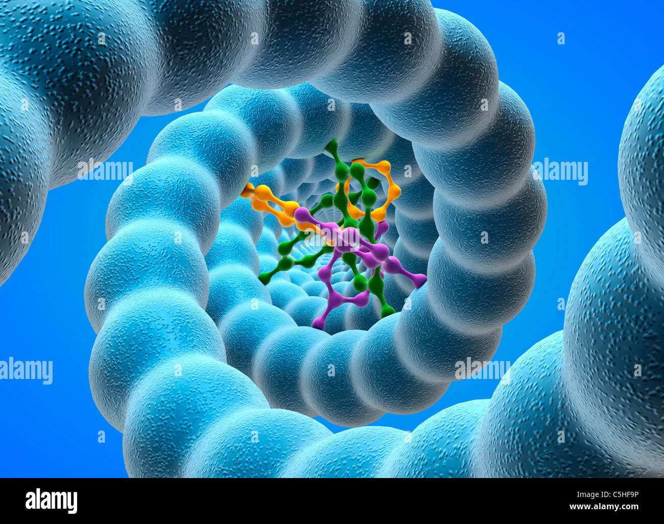 Molecola del DNA Foto Stock