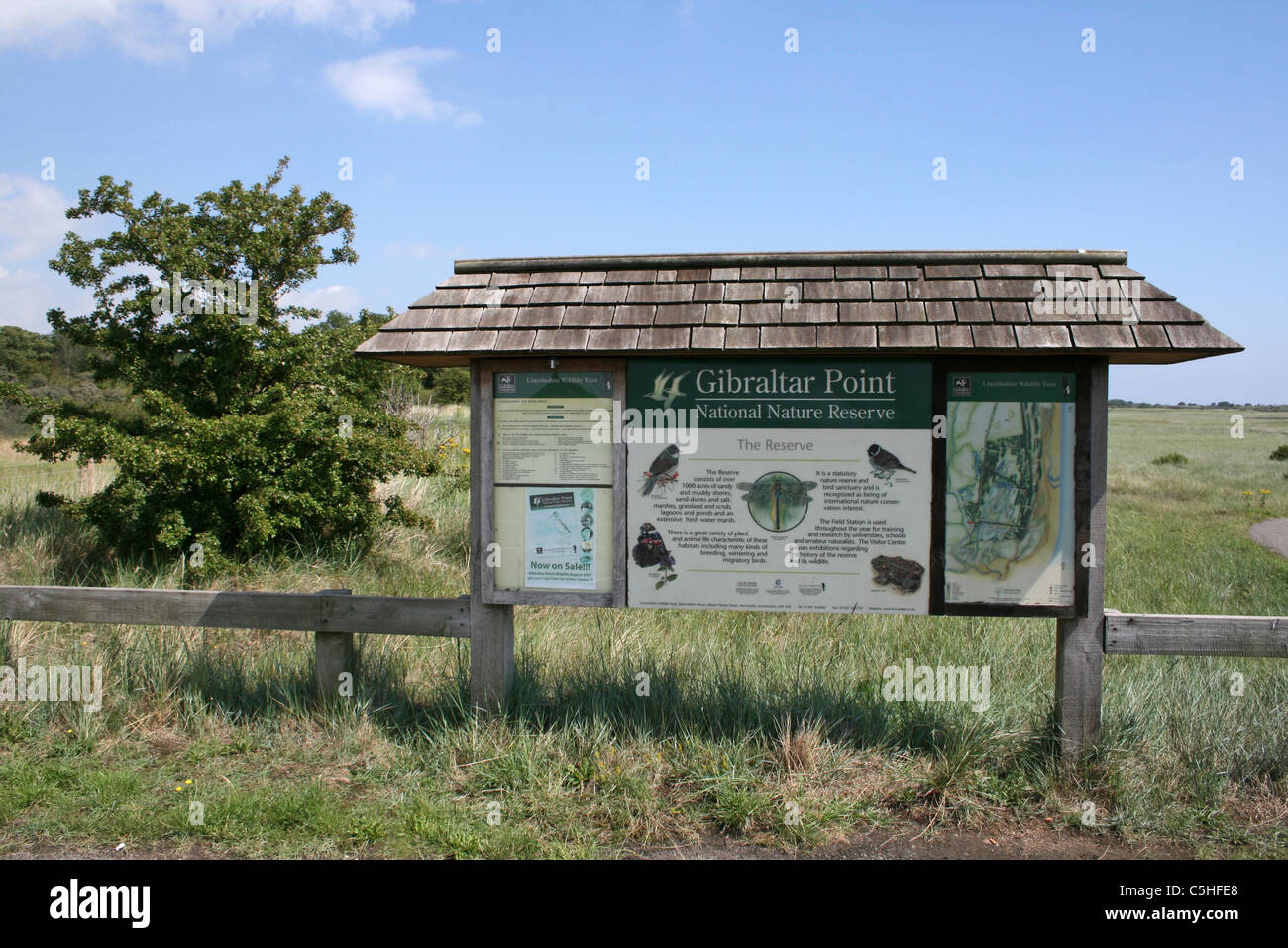 Gibraltar Point Riserva Naturale Nazionale, Lincolnshire Foto Stock