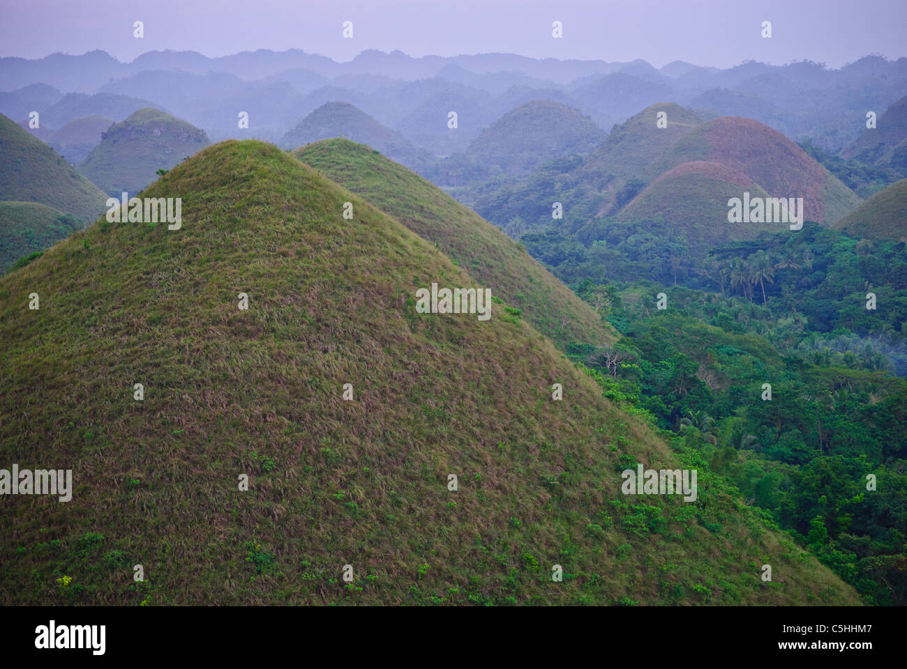 Mare di Chocolate Hills, Bohol Island Foto Stock