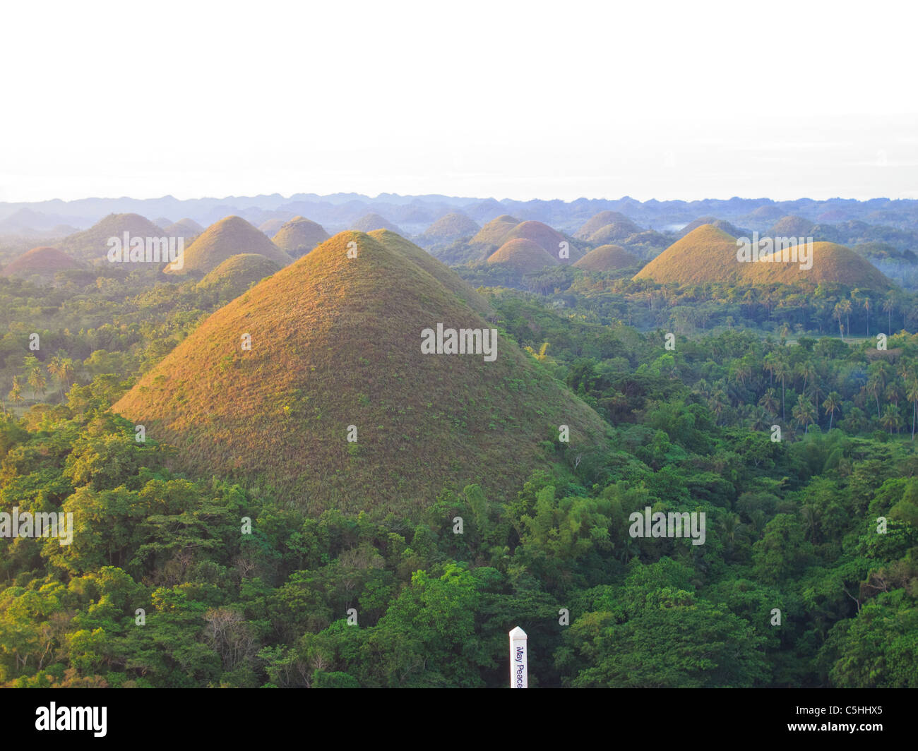 Colline di cioccolato al mattino, naturale tumuli sull isola di Bohol Foto Stock
