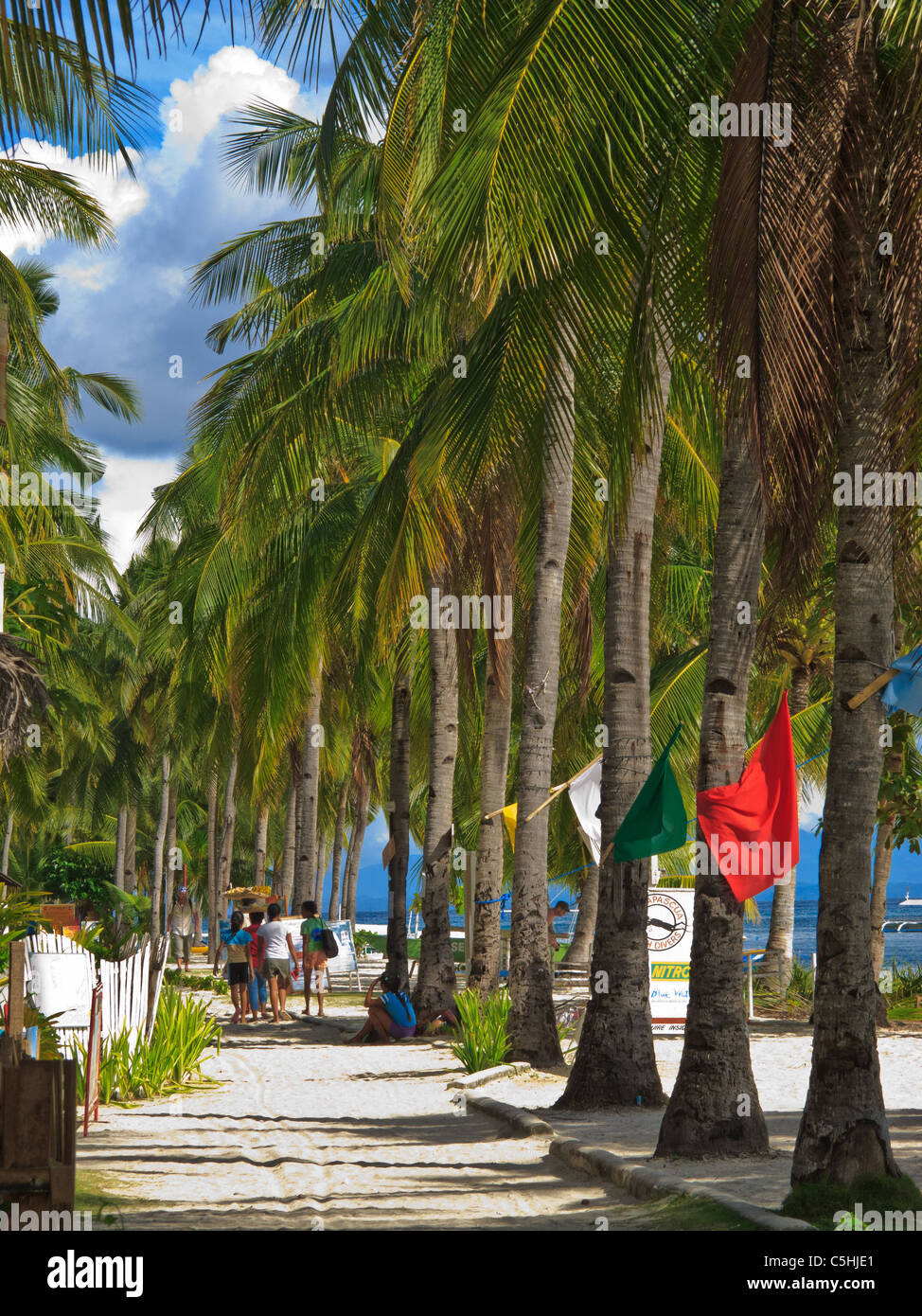 Spiaggia di rivestimento anteriore con alberi di noce di cocco di Malapascua Island Foto Stock