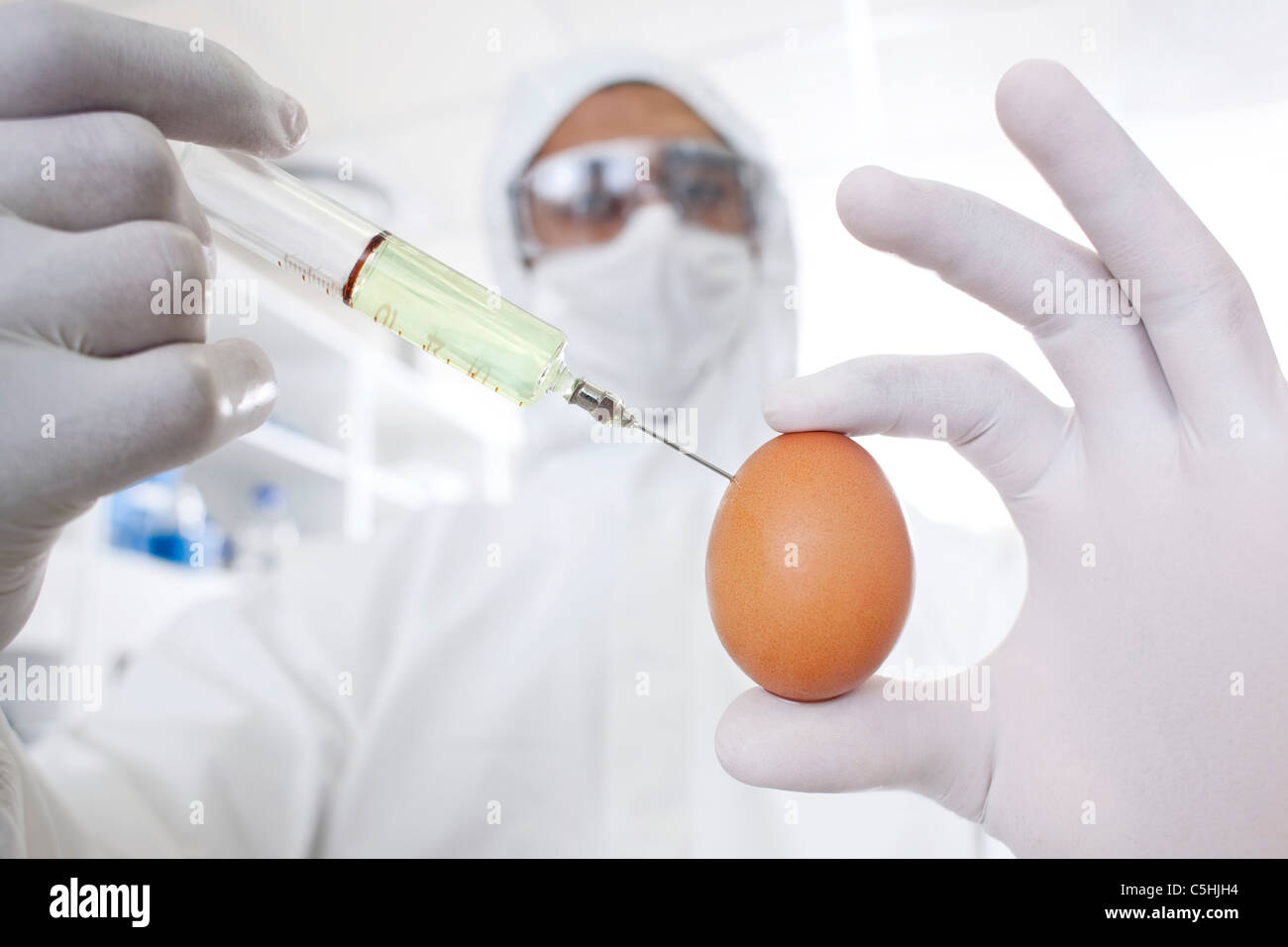 Modificati Geneticamente uovo Foto Stock