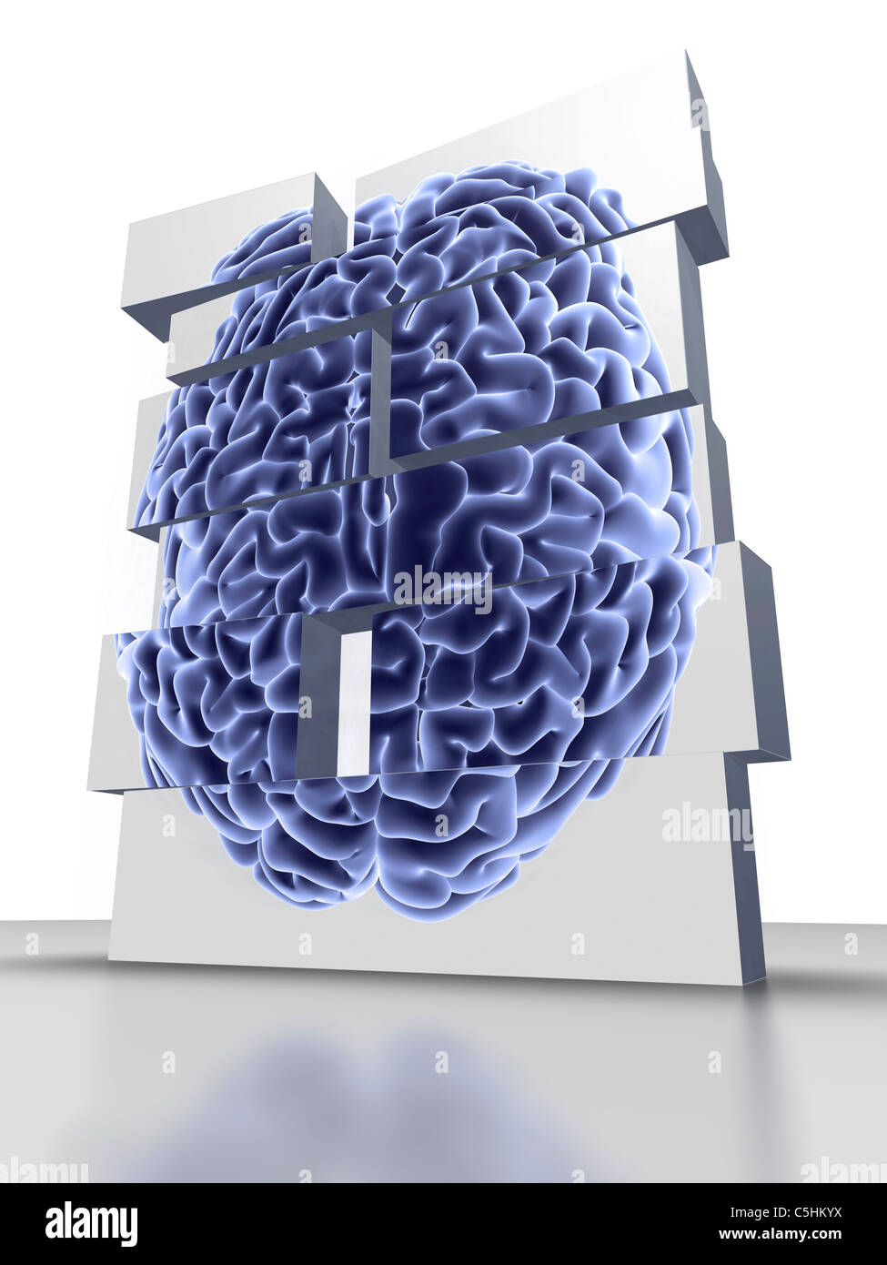 Blocchi da costruzione di cervello, artwork Foto Stock