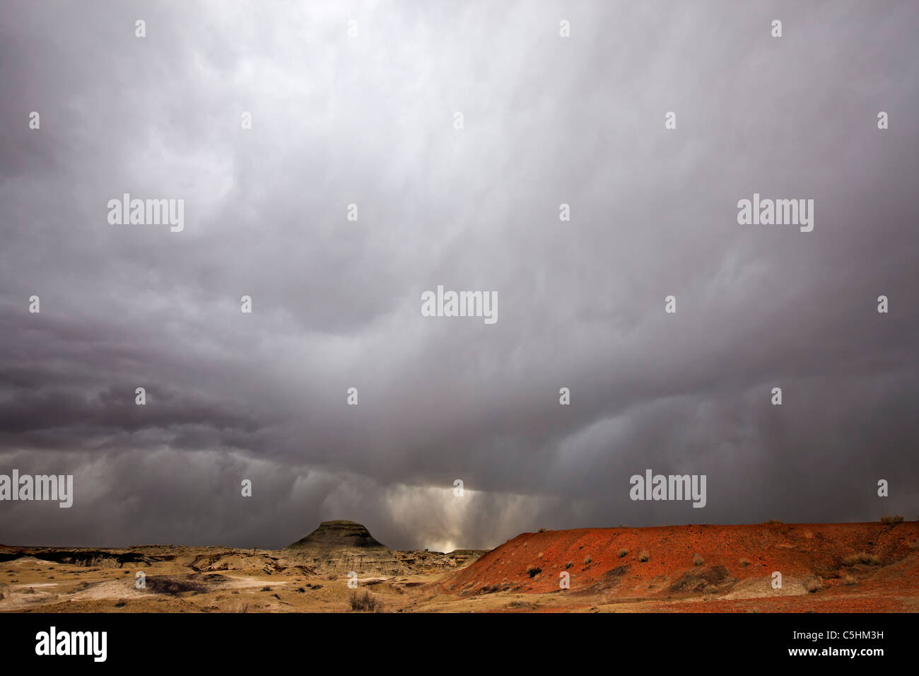 Bisti & De Na Zin Wilderness, Nuovo Messico, STATI UNITI D'AMERICA Foto Stock