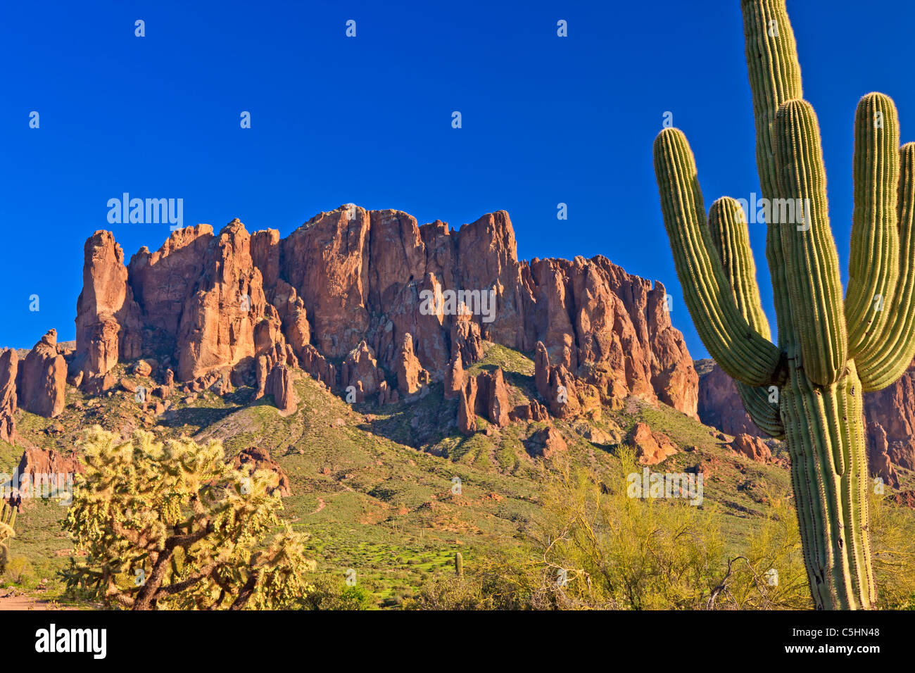Superstition Mountains, Lost Dutchman State Park, Arizona, Stati Uniti d'America Foto Stock