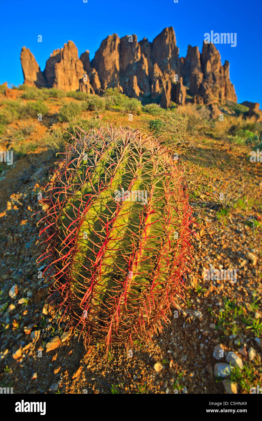 Superstition Mountains, Lost Dutchman State Park, Arizona, Stati Uniti d'America, 40 miglia ad est di Phoenix Foto Stock