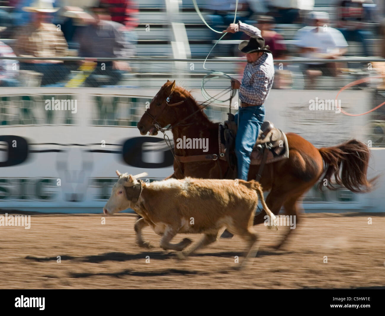 Rodeo concorrenti eseguire al Tucson Rodeo in Tucson, Arizona..per solo uso editoriale il permesso dal Pro Rodeo Cowboy s Foto Stock