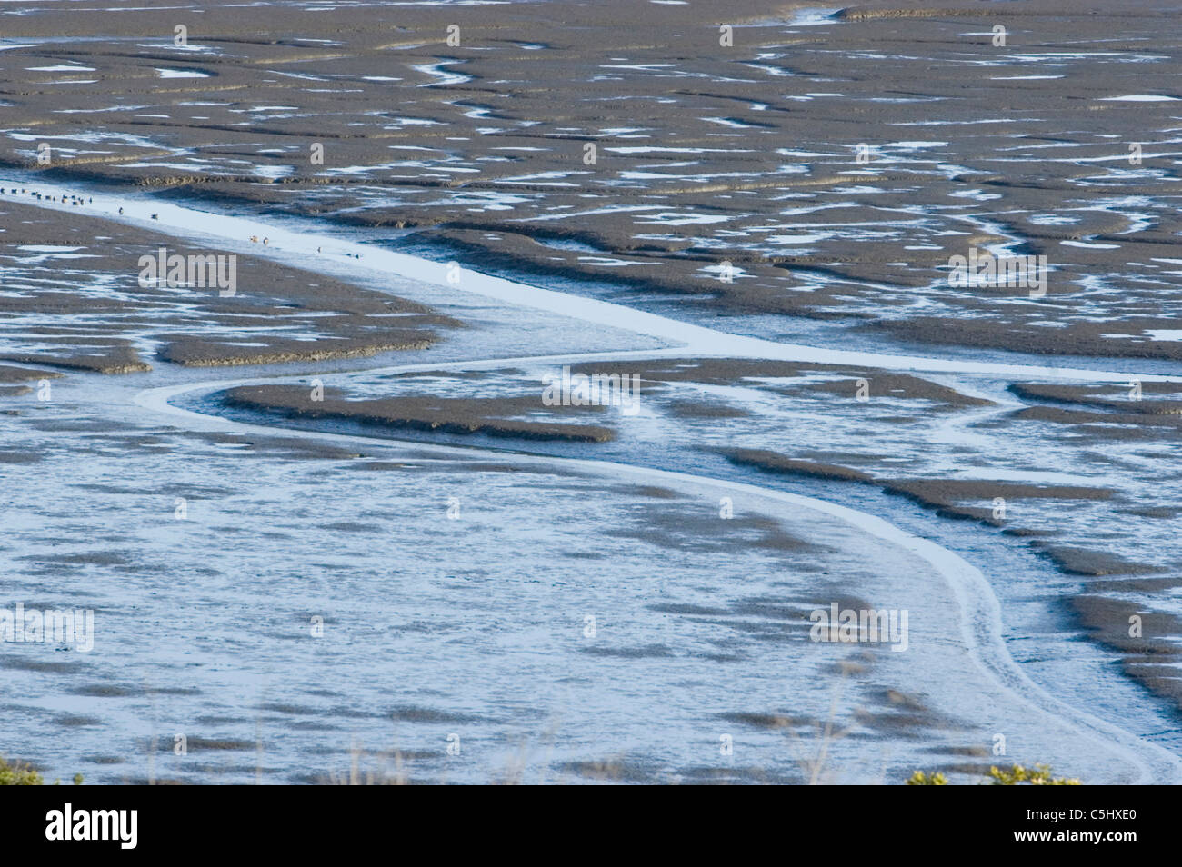 Zona di marea scaricato a bassa marea a Los Osos, California Foto Stock