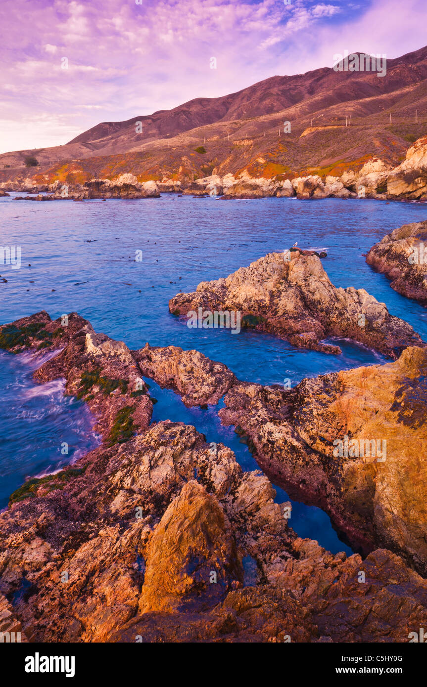 Costa rocciosa al punto Soberanes, Garrapata State Park, Big Sur, California Foto Stock